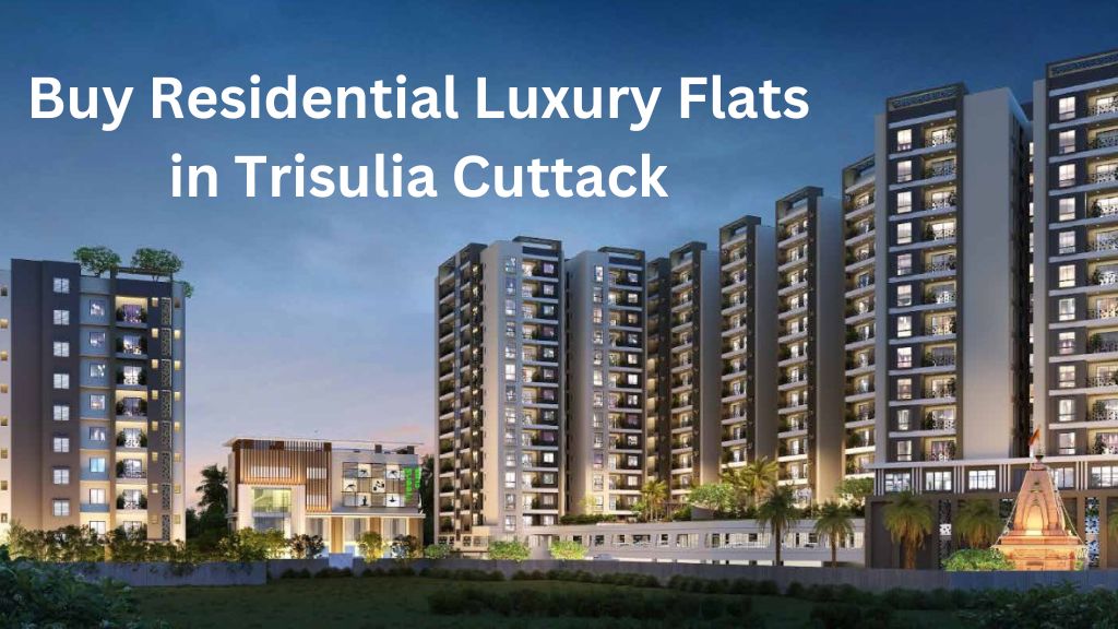 Luxury Flats in Trisulia