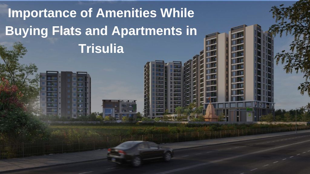 Flats and Apartments in Trisulia